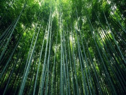 首页-KY开元集团官方网站